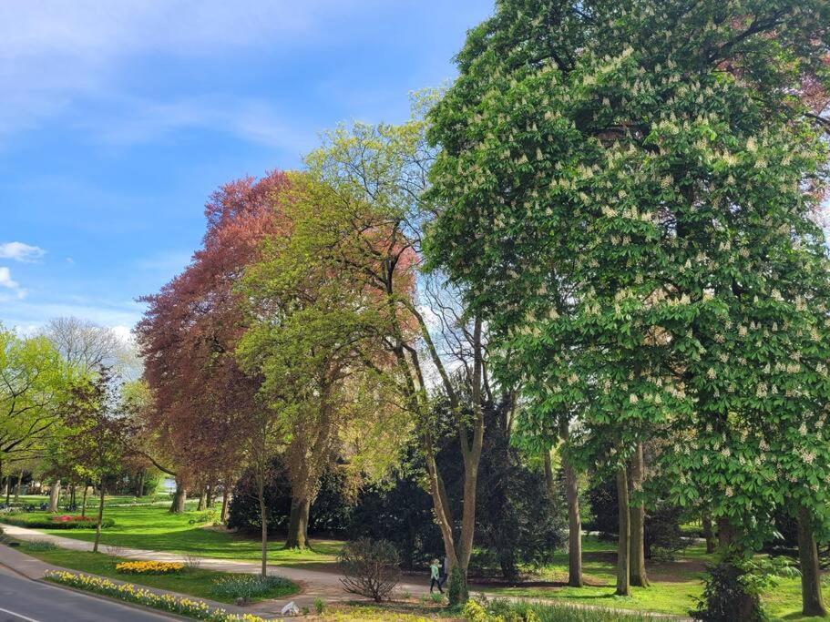 Mit Blick In Den Emsseepark فارندورف المظهر الخارجي الصورة