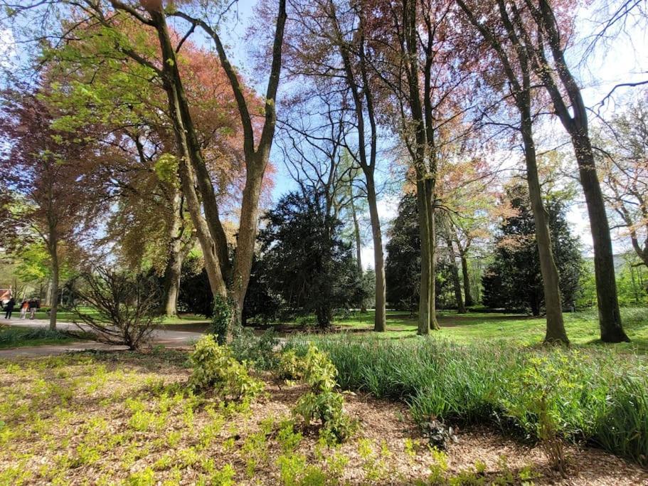 Mit Blick In Den Emsseepark فارندورف المظهر الخارجي الصورة