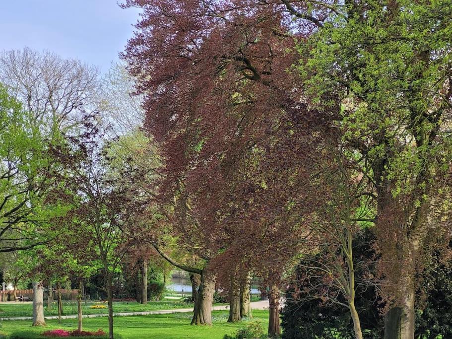 Mit Blick In Den Emsseepark فارندورف المظهر الخارجي الصورة